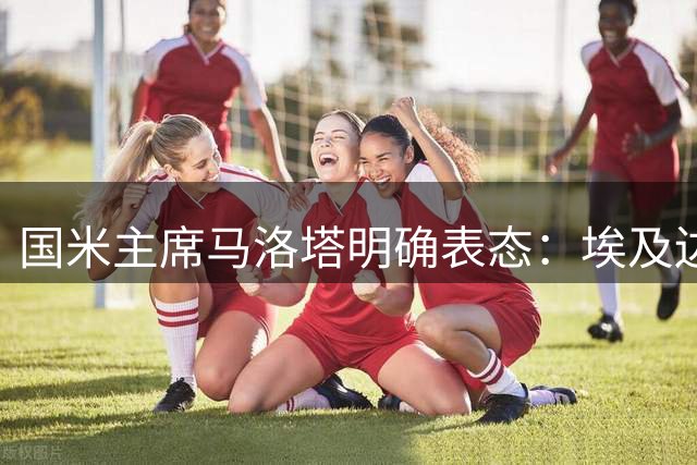 国米主席马洛塔明确表态：埃及边锋哈桑加盟传闻不实